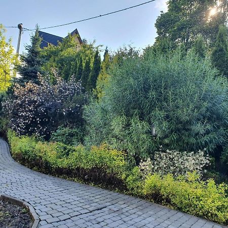 Willa Bukowina Appartement Bukowina Tatrzańska Buitenkant foto